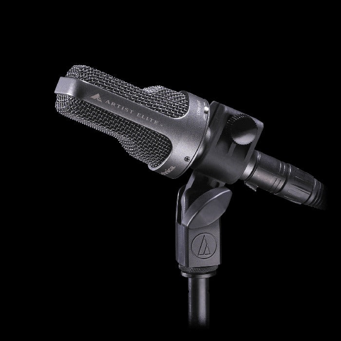 Audio-Technica AE3000 Cardioid Condenser Instrument Microphone