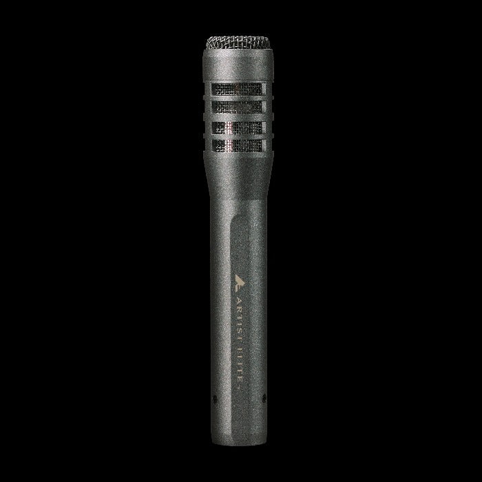 Audio-Technica AE5100 Large-Diaphragm Cardioid Condenser Instrument Microphone with Pad & HPF