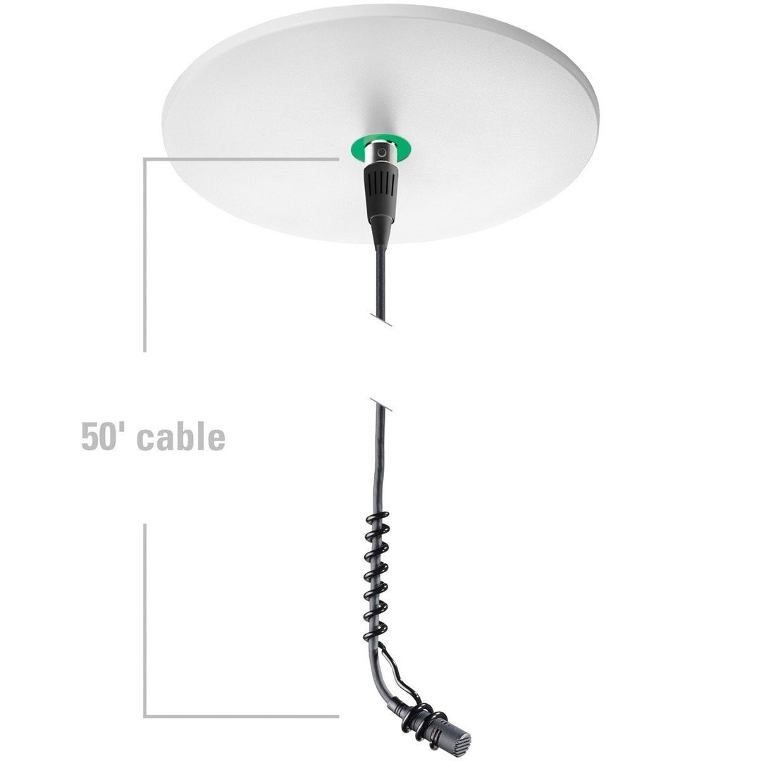 Audio-Technica Cardioid Condenser Hanging Microphone with Dante Network Output Power Module ATND933AC